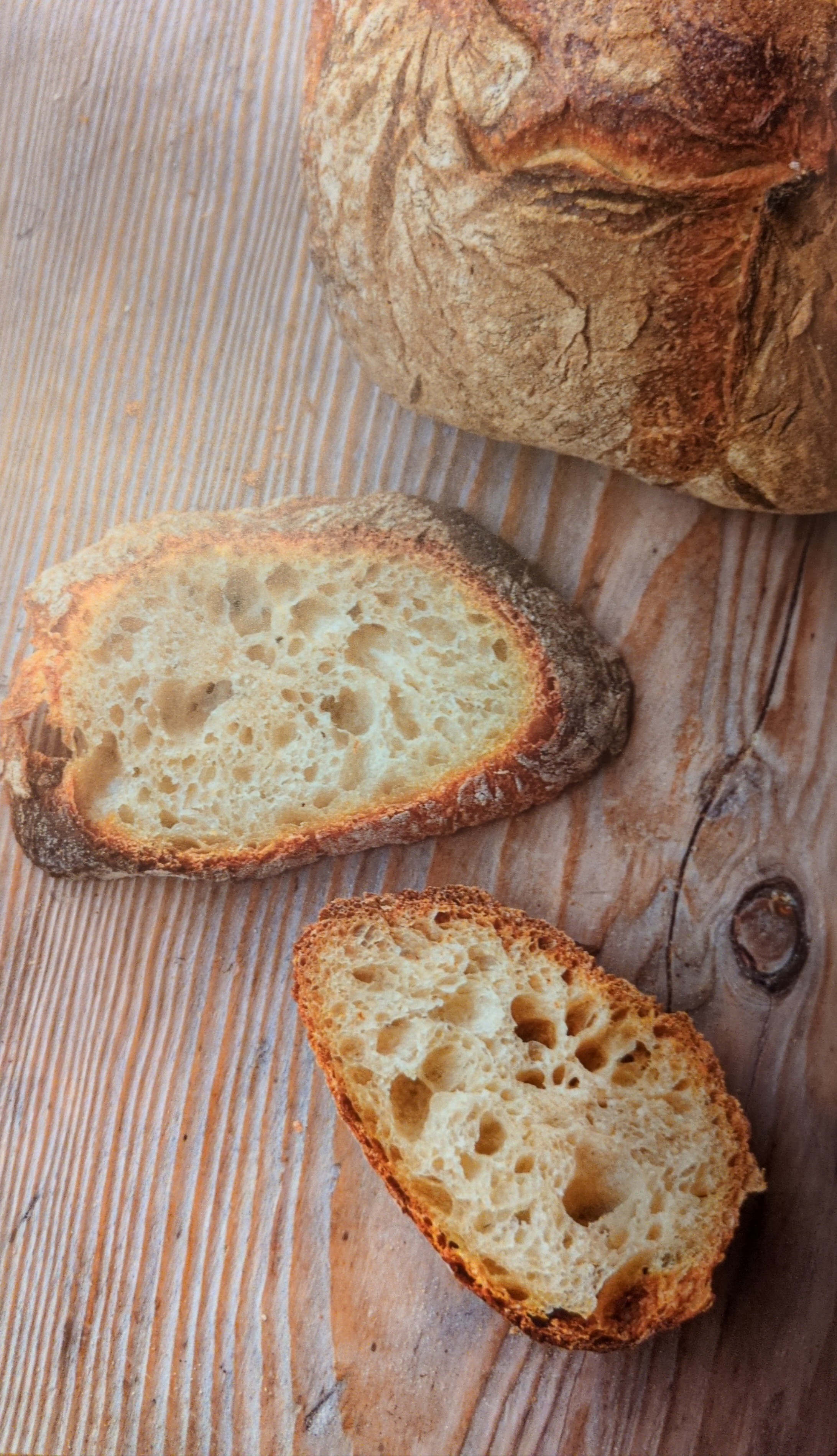 Mild White Wheat Sourdough